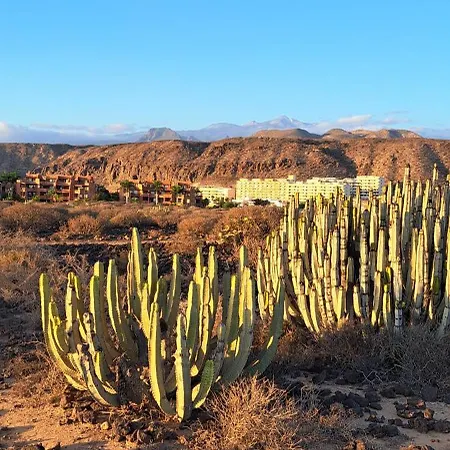 Casa Vera Apartamento Palm-mar