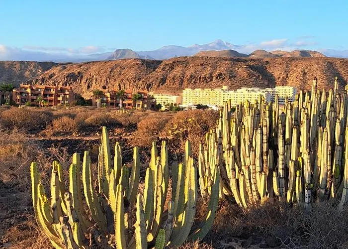 Casa Vera Apartmán Palm-mar