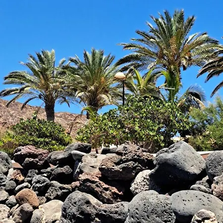 Daire Casa Vera Palm-mar